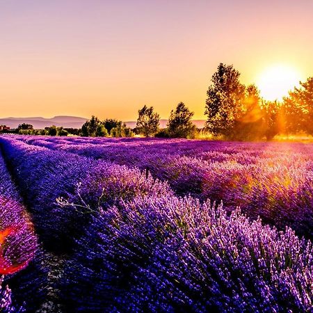 Chez Marius Gordes Vue Panoramique Sur Luberon Daire Dış mekan fotoğraf